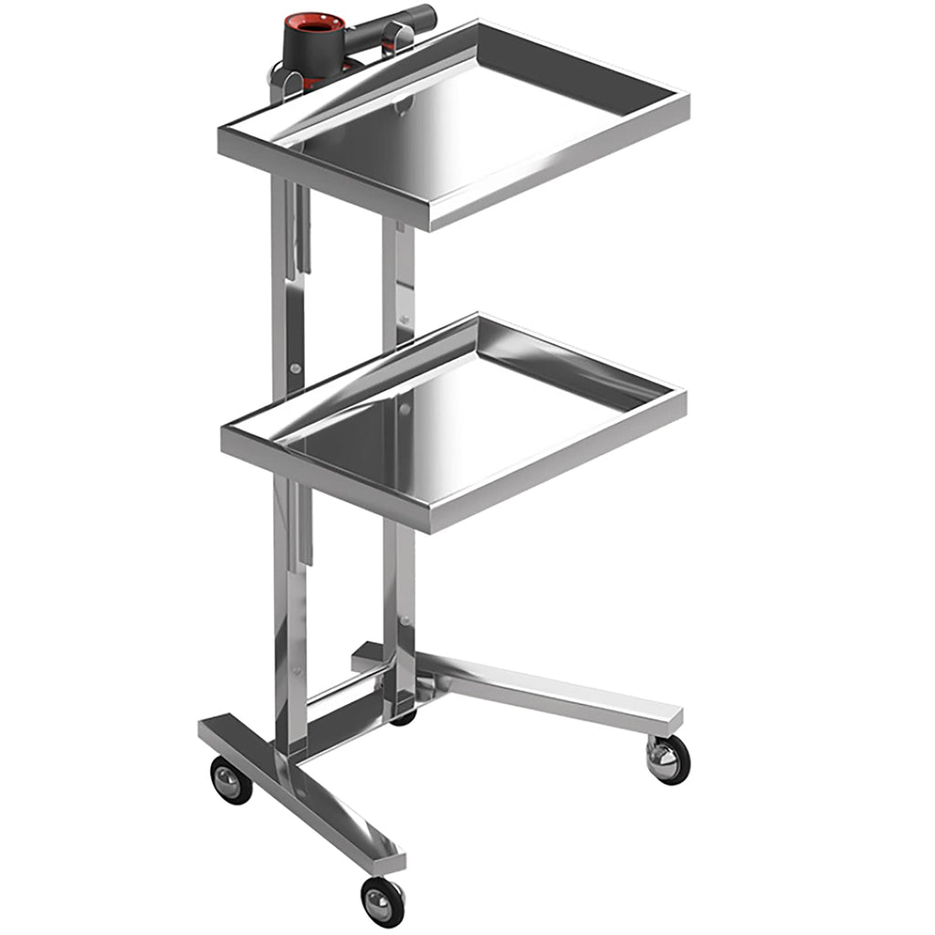 Multifunctional 2-Tray Utility Cart on Wheels - Gold 2-Level Medical Trolley Cart - Mobile Storage Tray Cart for Dental Tools, Cavitation Machine, Salon Supplies - Brass Foldable Storage Trays