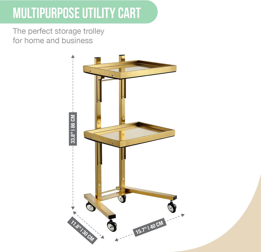 Multifunctional 2-Tray Utility Cart on Wheels - Gold 2-Level Medical Trolley Cart - Mobile Storage Tray Cart for Dental Tools, Cavitation Machine, Salon Supplies - Brass Foldable Storage Trays